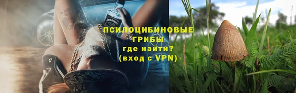 дурь Абаза