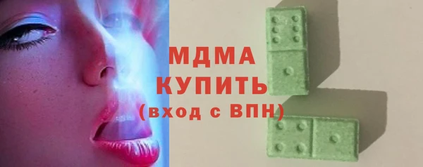 индика Алексин
