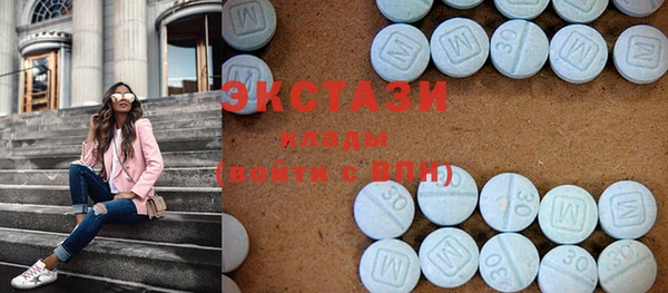 индика Алексин