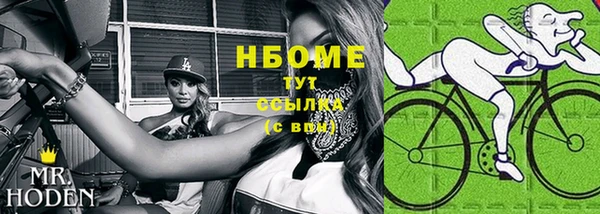 индика Алексин