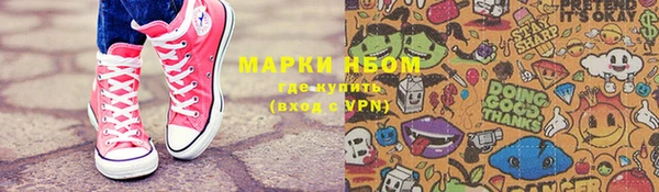 индика Алексин