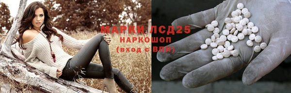 индика Алексин