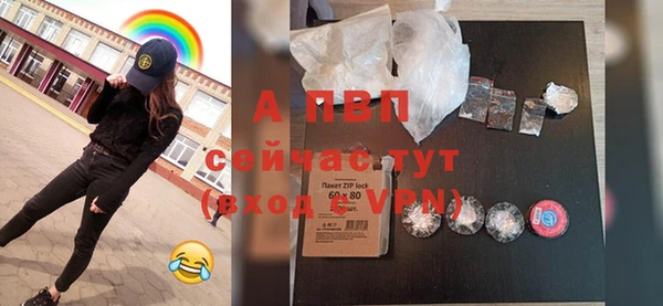 индика Алексин