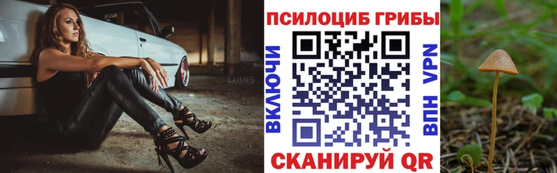 Галлюциногенные грибы Magic Shrooms  Пыталово 